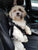 The Rocketeer Pack - Multifunctional Harness