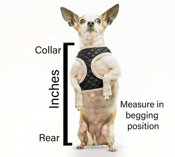 The Rocketeer Pack - Multifunctional Harness