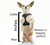 The Rocketeer Pack - Multifunctional Harness
