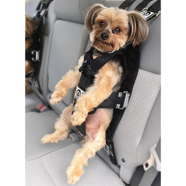 Lof Comfortable Pet Sling Carrier For Small Dogs Travel Safe For Dogs – LOF  PET SUPPLIES